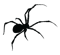 Spiderling logo spider